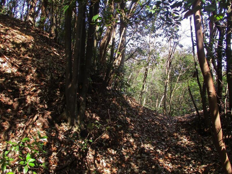 File:Daitajou (26).jpg
