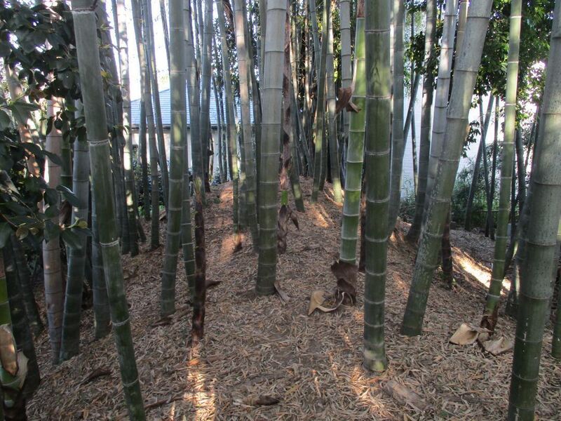 File:Fuseyajou (2).jpg