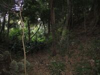HigashiSakabejou008.jpg