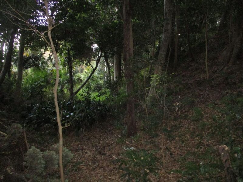 File:HigashiSakabejou008.jpg