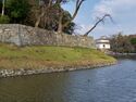 Hikone85.jpg