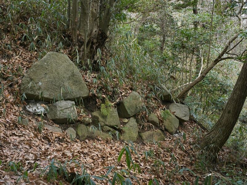 File:Iimori3.jpg