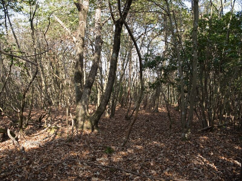 File:Inokurakyoto7.jpg
