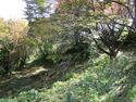 Kaesajou17.5.JPG