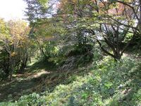 Kaesajou17.5.JPG