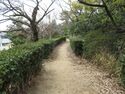 Kariyajou (12).JPG