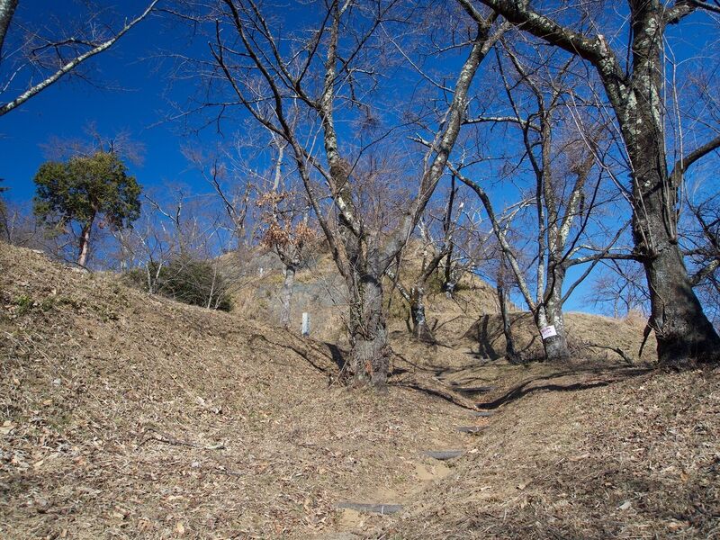 File:Katsuyamatsuru8.jpg