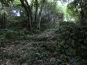 Komesu Castle Ray 2.jpg