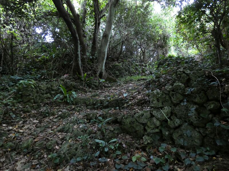 File:Komesu Castle Ray 2.jpg