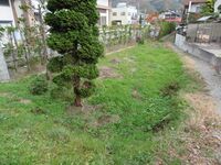 OhmachiSeiryuujiYakata (4).JPG
