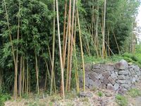 SengokuUtanosukeYakata25.JPG