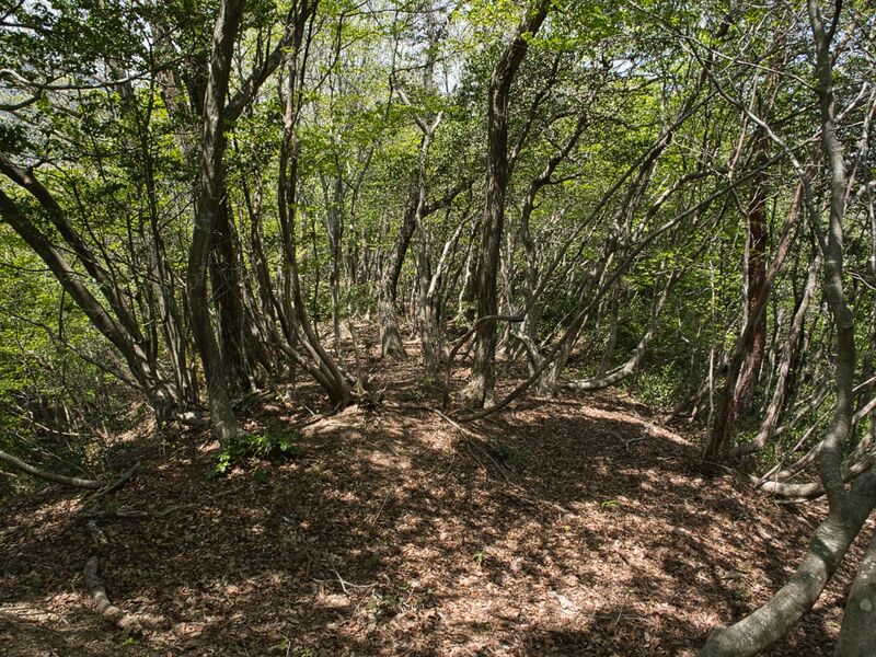 File:Tochidaniyama14.jpg