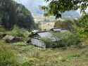 YoshiikeAwajiYakata (10).JPG