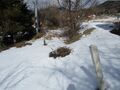Thumbnail for version as of 07:55, 22 February 2022