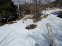 FuruhataYakataJcaastle (7).JPG