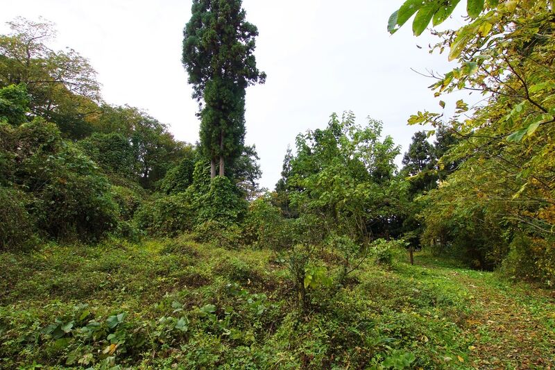 File:Hasedo28.jpg