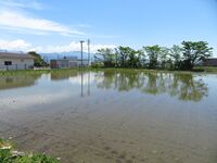 IwaokaYakata (4).JPG