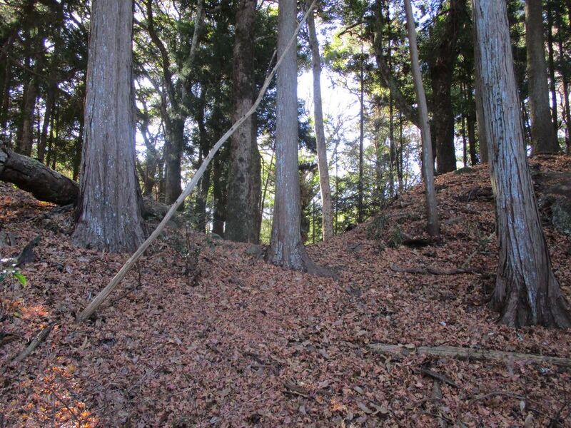 File:KaiMajinojou005.jpg
