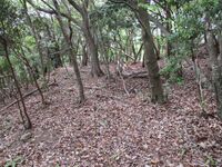 MikawaKoganejou (11).jpg