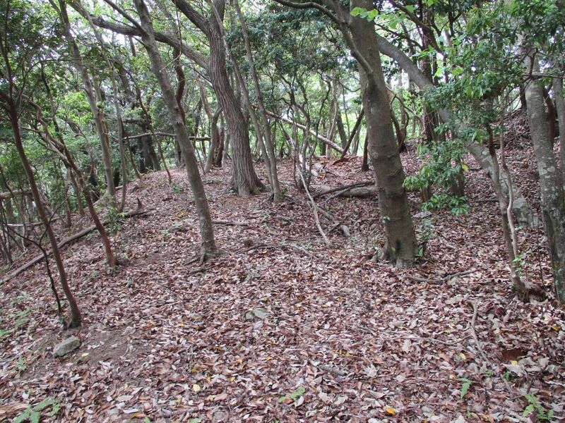 File:MikawaKoganejou (11).jpg
