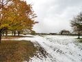 Thumbnail for version as of 10:27, 24 January 2021
