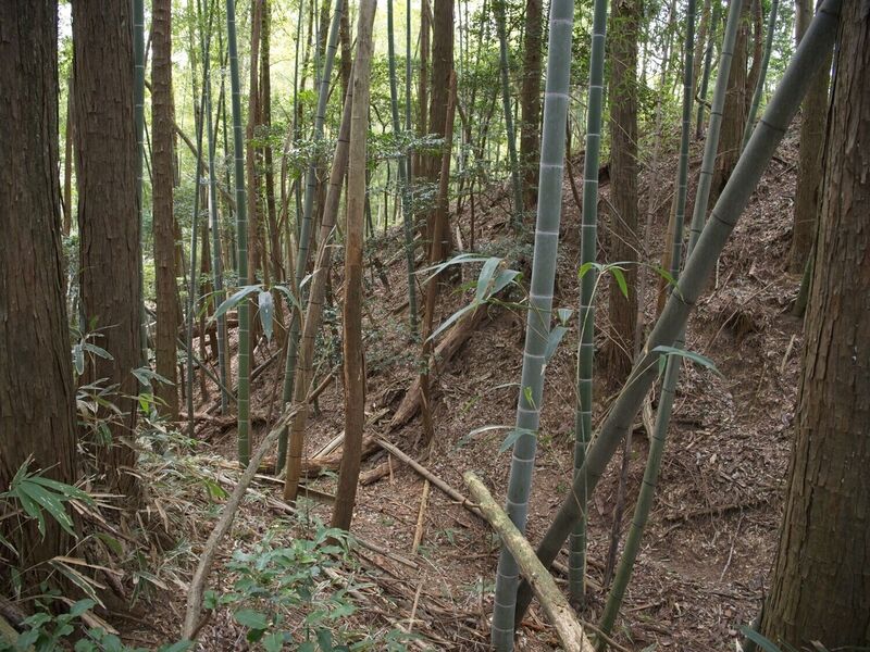 File:Ogawanishinokoka18.jpg