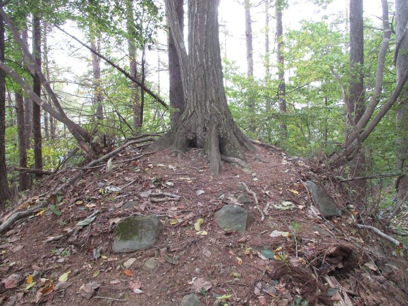 File:Senowakijou (2).jpg