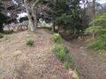 Thumbnail for version as of 13:09, 17 May 2025