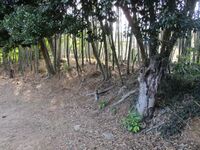 HekikaiNodajou (11).jpg