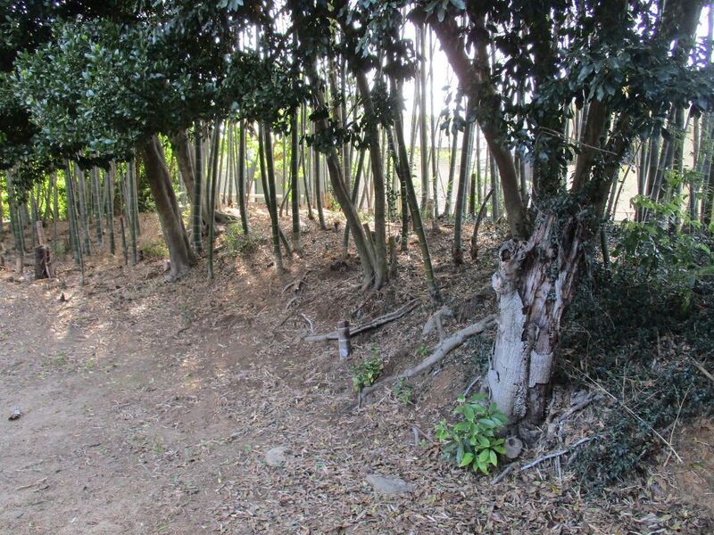 File:HekikaiNodajou (11).jpg