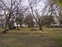Hikone43.jpg
