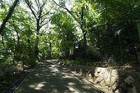 Jindaiji2.jpg