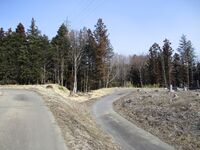 KoideMaruyamajou (5).JPG