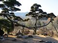 Thumbnail for version as of 15:20, 17 January 2022