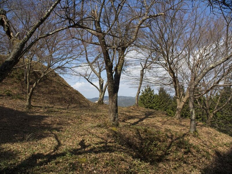 File:Ogawakoka28.jpg