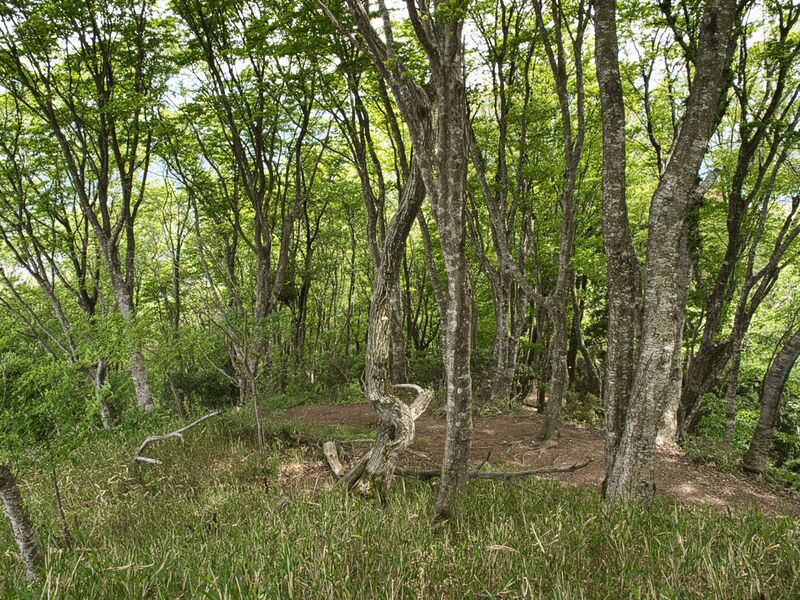 File:Shizugatake25.jpg