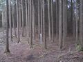 Thumbnail for version as of 20:00, 3 April 2023