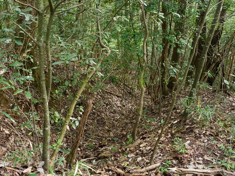File:Iden3.jpg