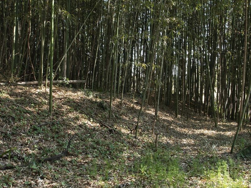 File:Inayashiki29.jpg