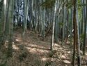 Inayashiki41.jpg