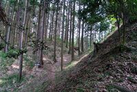 Kazurayama27.jpg