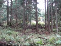 NechiKuriyamajou (15).JPG