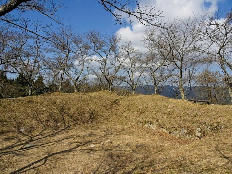 File:Ogawakoka16.jpg