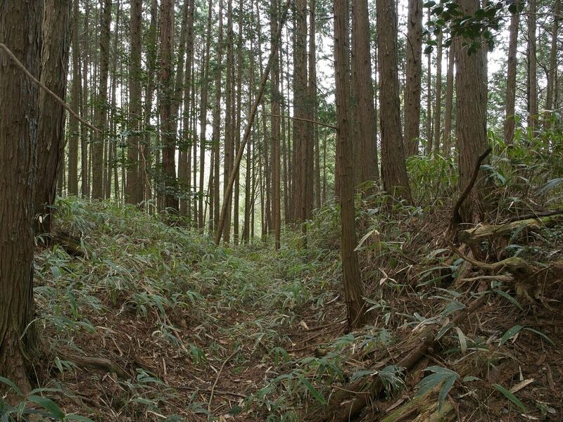 File:Ogawanishinokoka27.jpg