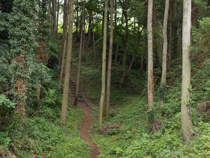 File:Shiroi12.jpg