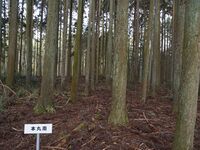 Shishiudoyakata35.jpg