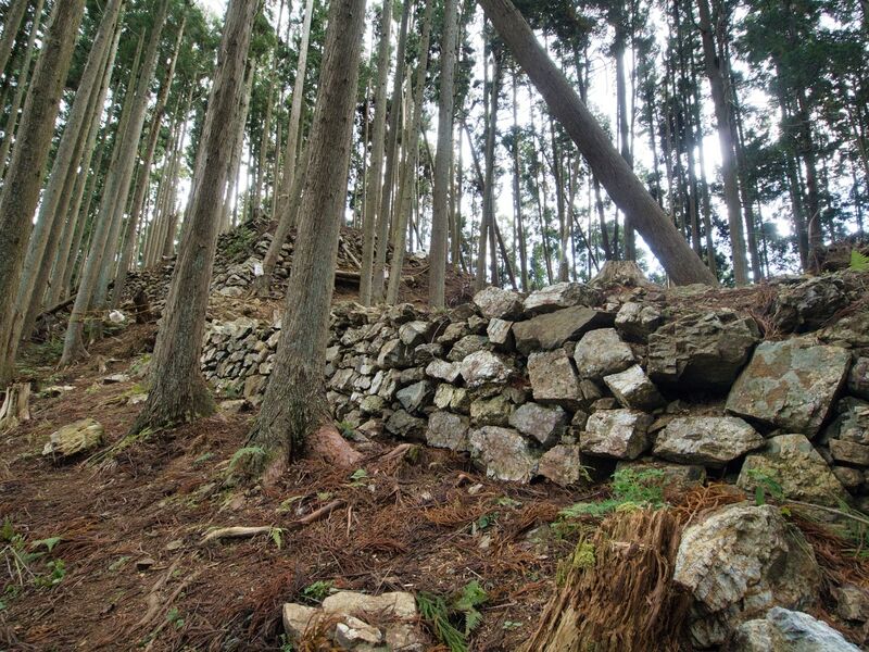File:Shuzan31.jpg