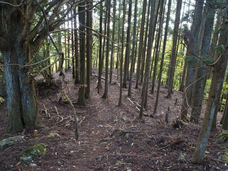 File:Shuzan56.jpg