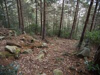 Tsubokasayama2.jpg