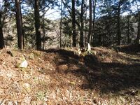 山吹大城17.JPG